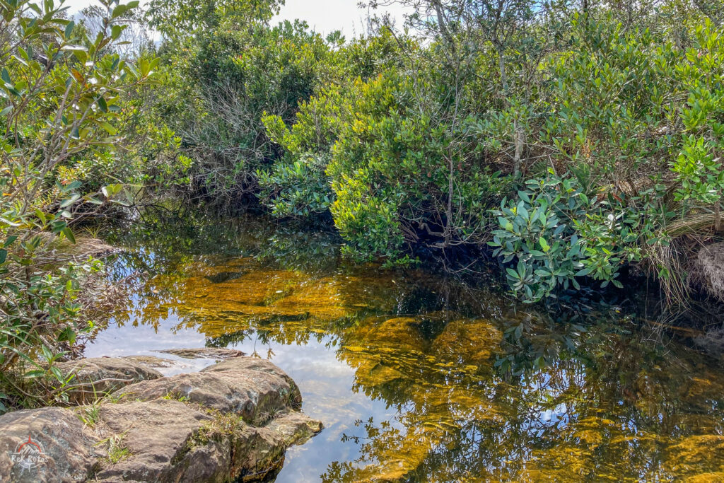 Nascente Histórica do Rio São Francisco no Parque Nacional da Serra da Canastra.