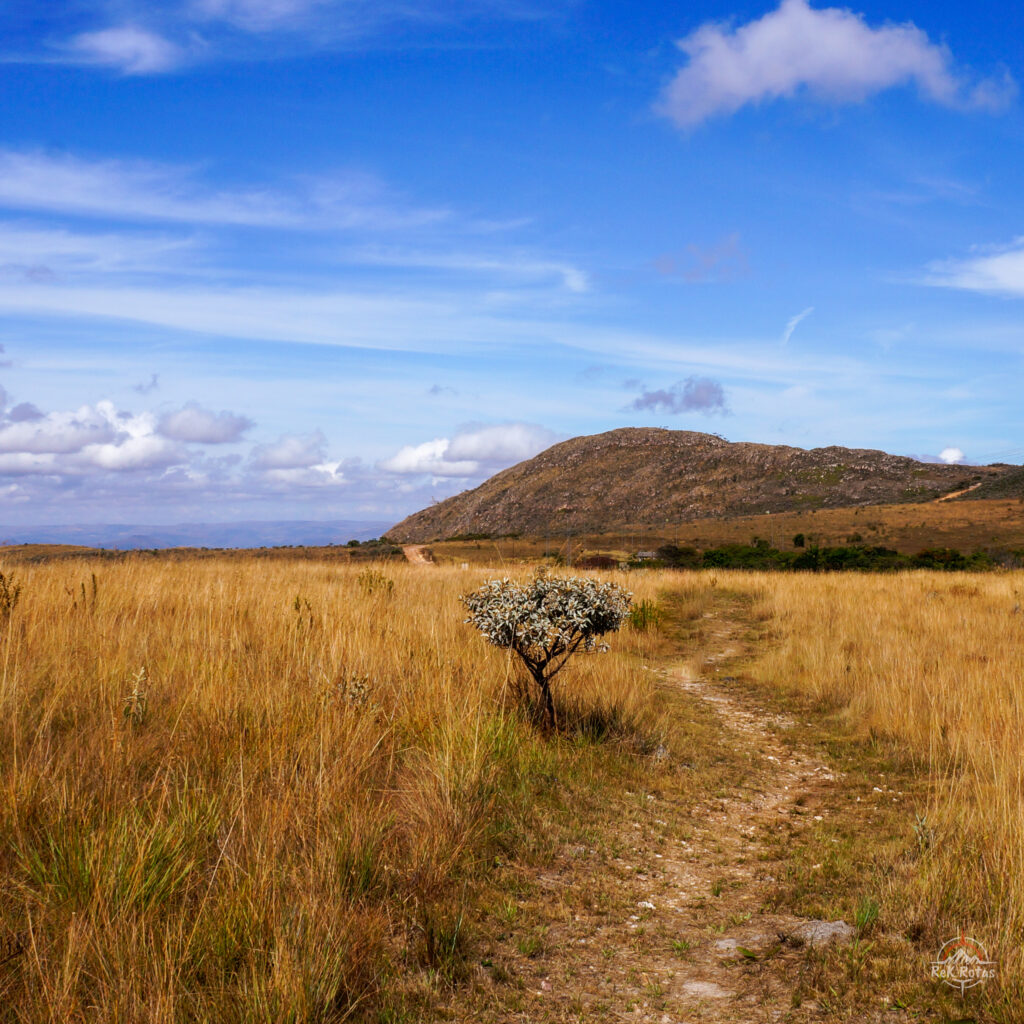 Vegetação de Cerrado na parte alta do PN Serra da Canastra.