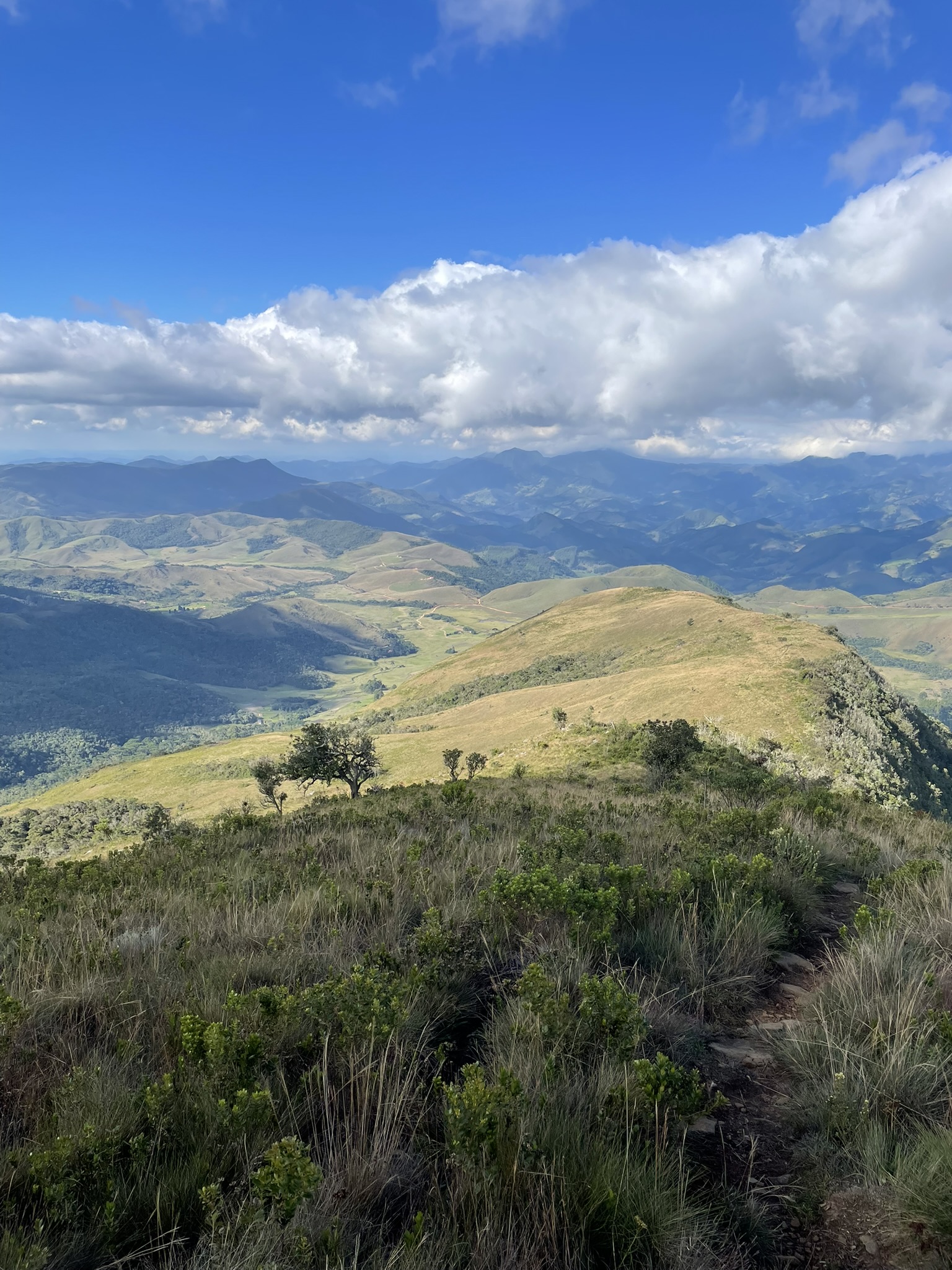Trilha do Pico do Santo Agostinho - Alagoa/MG
